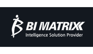 BI MATRIX.png